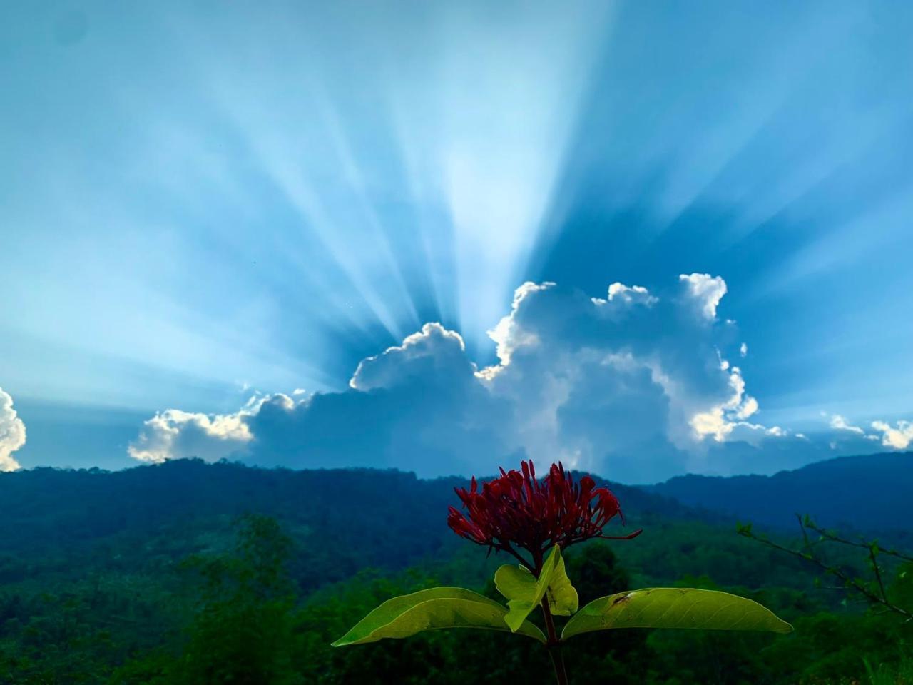 Pu Luong Cuisine Garden Homestay Lang Bang Bagian luar foto